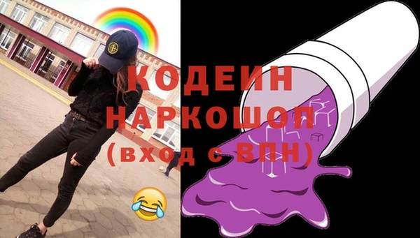 индика Богданович